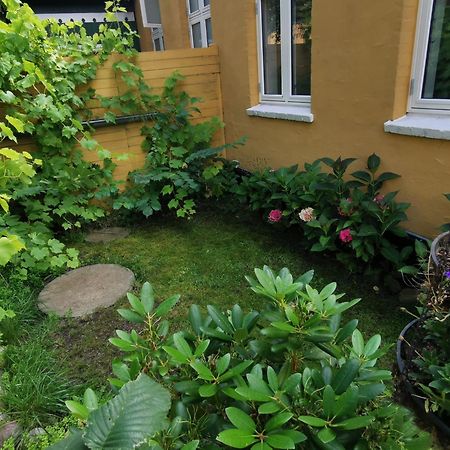 The Fig Studio - "Den Gule Svane" Guest House - Near Ronne & Beach Exteriér fotografie
