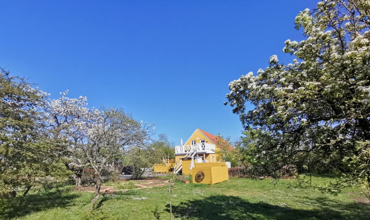 The Fig Studio - "Den Gule Svane" Guest House - Near Ronne & Beach Exteriér fotografie