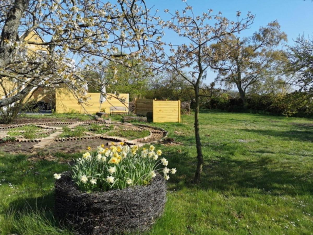 The Fig Studio - "Den Gule Svane" Guest House - Near Ronne & Beach Exteriér fotografie