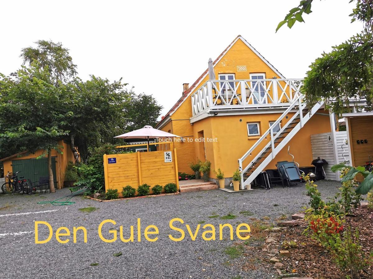 The Fig Studio - "Den Gule Svane" Guest House - Near Ronne & Beach Exteriér fotografie
