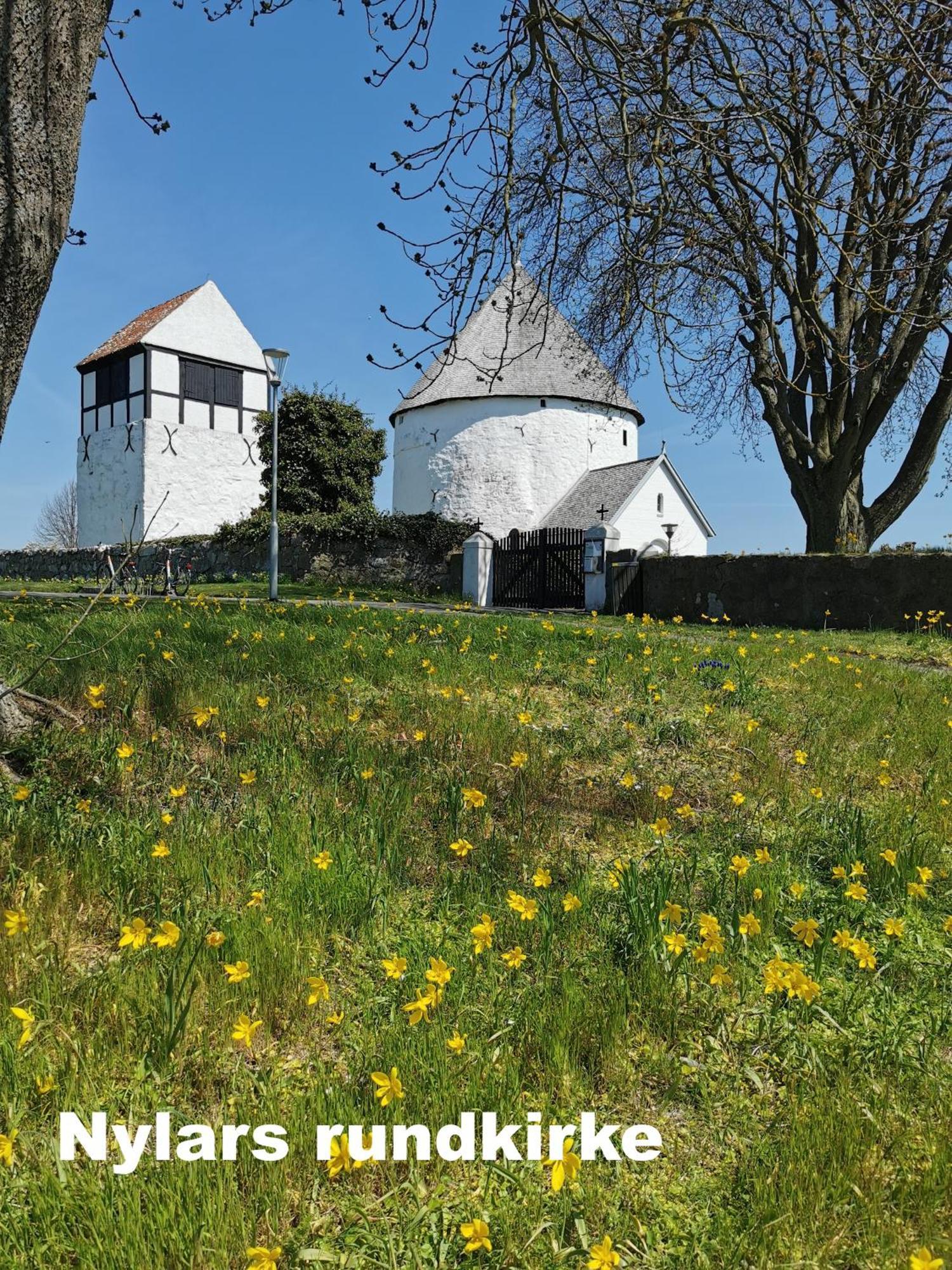 The Fig Studio - "Den Gule Svane" Guest House - Near Ronne & Beach Exteriér fotografie
