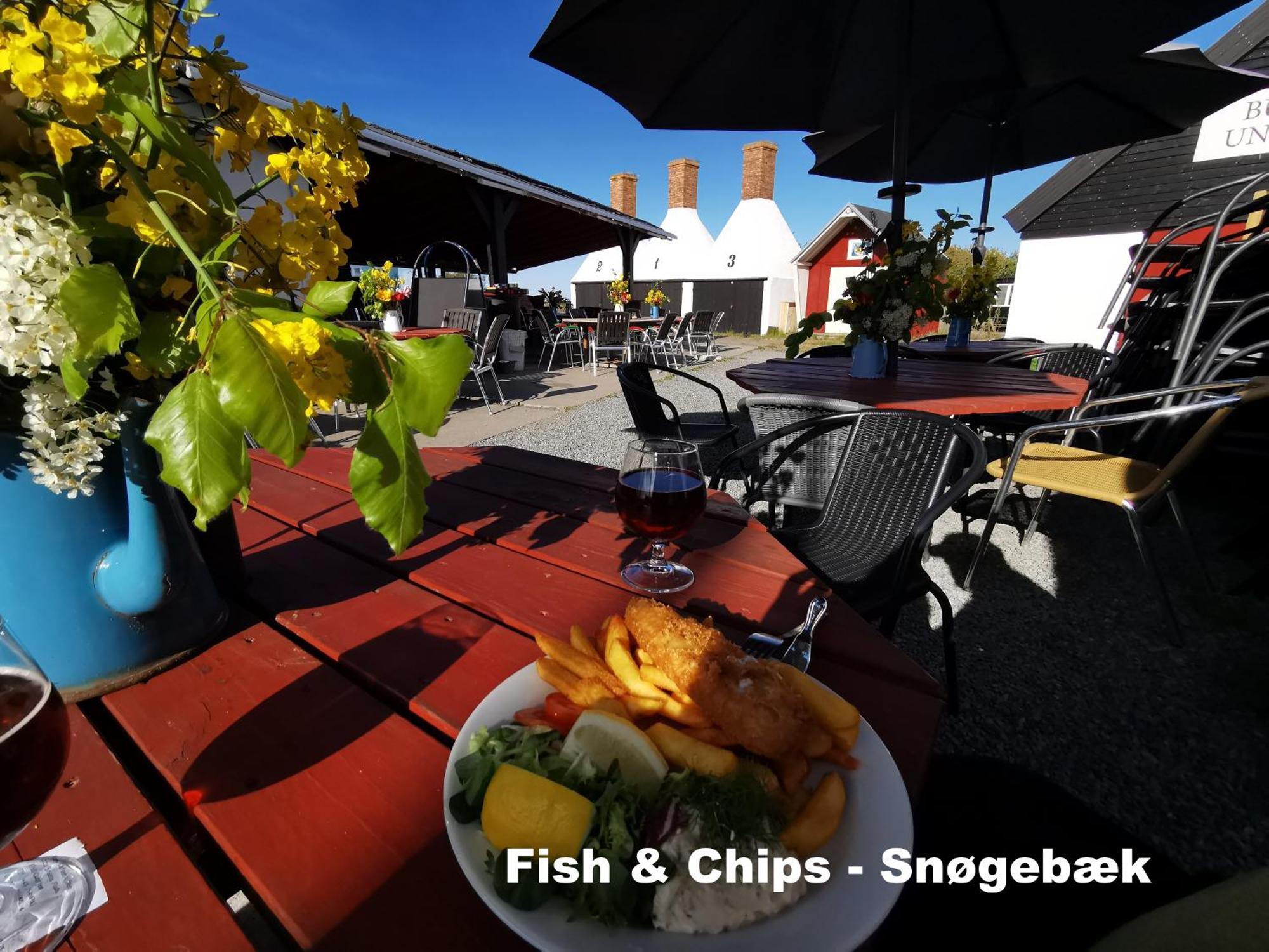The Fig Studio - "Den Gule Svane" Guest House - Near Ronne & Beach Exteriér fotografie