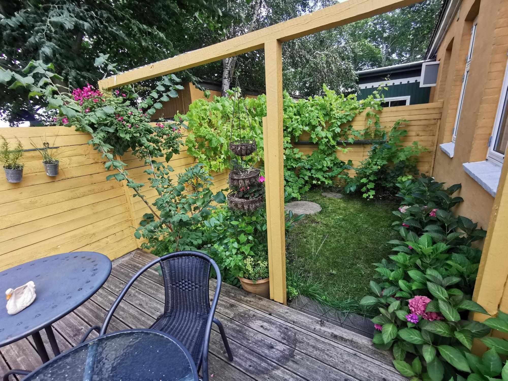 The Fig Studio - "Den Gule Svane" Guest House - Near Ronne & Beach Exteriér fotografie