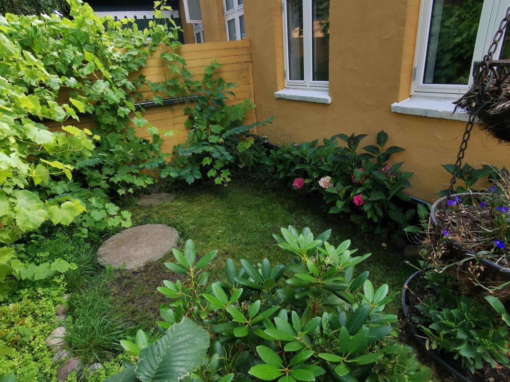 The Fig Studio - "Den Gule Svane" Guest House - Near Ronne & Beach Exteriér fotografie